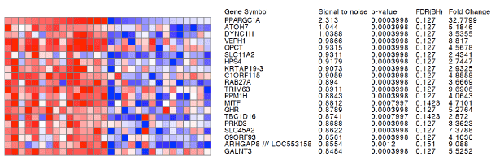 cancer metabolism